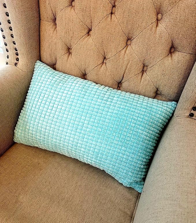 Pack of 2 Size bundel Polyester Blend Soft Hand Feeling Throw Pillows (with Insert) Size 18"x18" and 12"x20" one of Each (Sky Blue)