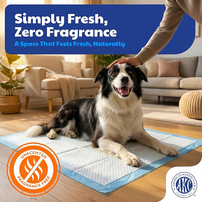 AKC Dog Training Pads, Unscented, XL 28" x 30", 50 Count | Unscented dog pee pads help control odors with ultra absorbent quick-dry gel, leakproof layers and potty training protection.