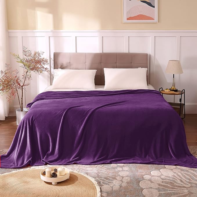 BEDELITE Fleece Blanket Soft Plush Queen Size Bed Blanket Purple 90"x90" | Ultra Soft Fleece, Plush Microfiber, Lightweight Warmth, All Season Comfort, Fade Resistant, Machine Washable,Perfect for Bed