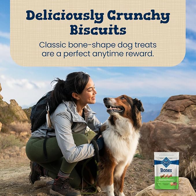 Blue Buffalo Bones Variety Pack Small Dog Biscuits, 16 oz, 4 ct | Assorted Beef, Chicken & Bacon Flavors, For Dogs 15 lbs. or More, No Corn, Wheat, or Soy