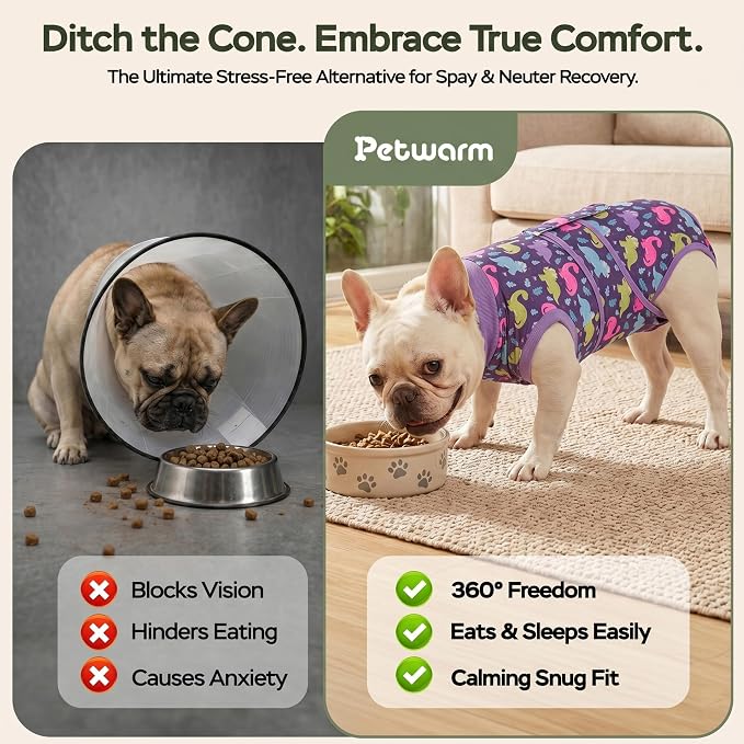 PetWarm Dog Surgery Suit, Surgical Recovery Suit for Dogs, Substitute E-Collar and Cone, Anti-Licking Pet Recovery Suit for Dogs, Dog Bodysuit, Dinosaur Pattern, Purple, L