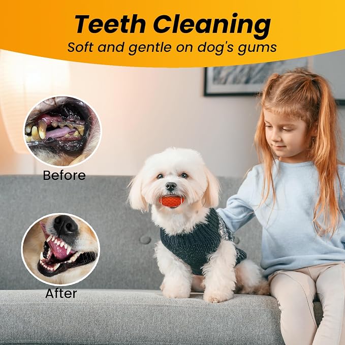 Puppy Toy, 2 Pack Interactive Squeaky Dog Ball for Small Dogs