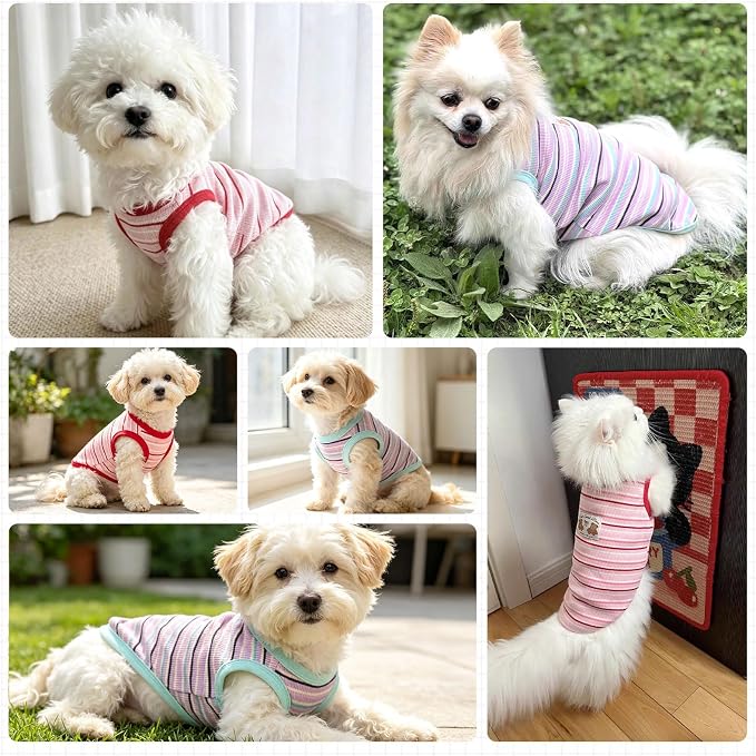 2 Pack Small Dog Shirts Striped Dogs Cats Clothes, Blue&Red L | Soft Pet Tee Shirt, Breathable Dog Outfits with Exquisite Edging, Small Puppy Pajamas Chihuahua Yorki Party Daily Costumes