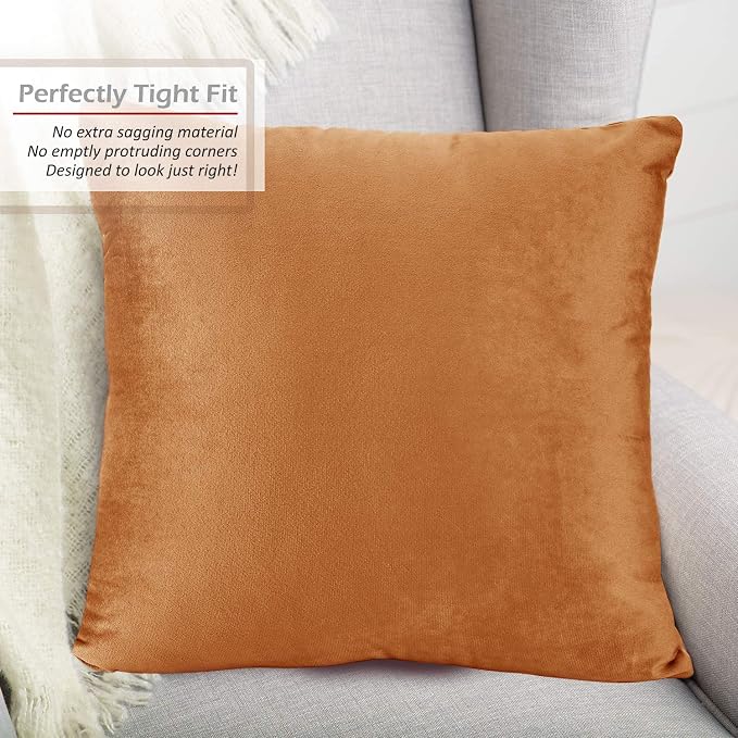 Throw Pillow Inserts Pack of 2 with Velvet Soft Solid Decorative Square Throw Pillow Covers Set for Sofa Couch Car Bedroom, 18X18 Throw Pillows Inserts with 16x16 Washable Cushion Covers, Rust Brown