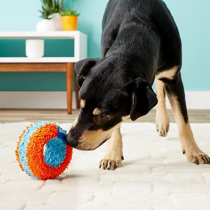 Chuckit! Indoor Fetch Roller Toy for Dogs - Interactive Dog Toys for Boredom, Orange and Blue 4.7 inches (Pack of 12)