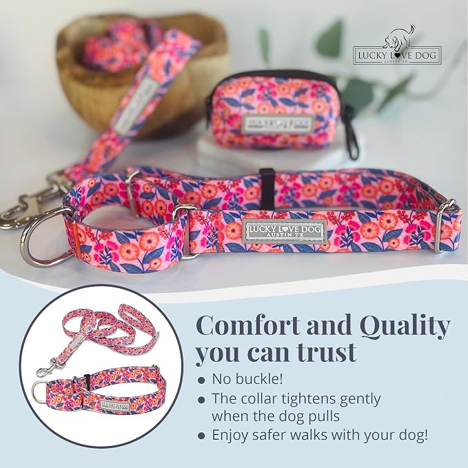 Lucky Love Dog Martingale Collar & Leash Set No Slip Cute – Rosie, Large
