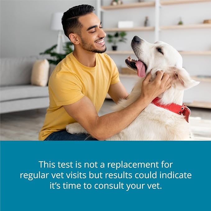 Petivity At-Home Kidney Health Test Kit for Dogs, Powered by Purina - (Pack of 1)