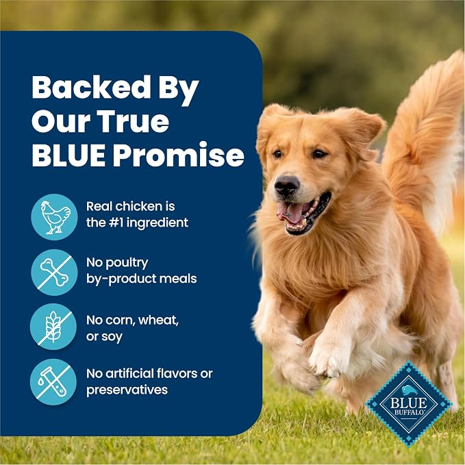 Blue Buffalo Homestyle Recipe Chicken Adult Wet Dog Food, 12.5 oz, 3 ct | Chicken Dinner with Garden Vegetables, No Chicken By-Product, Corn, Wheat, or Soy