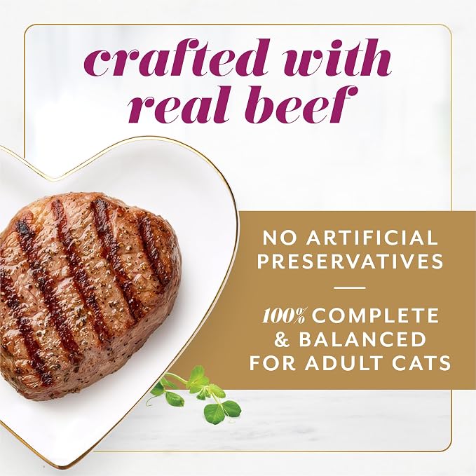Fancy Feast Gems Pate Cat Food Mousse with Beef and a Halo of Savory Gravy Cat Food - 4 oz. Boxes,(Pack of 16)