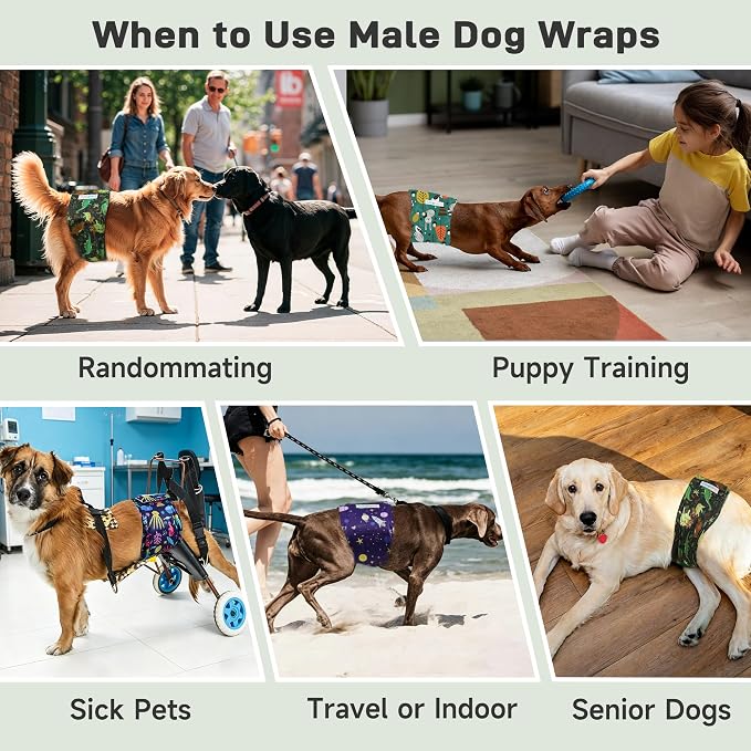 Langsprit Small Male Dog Diapers for Doggie Puppy,Reusable Belly Bands for Male Dogs Wraps,Washable Doggy Dog Diapers Medium Large in Incontinence 5 Pack (Cosmic Cuties, X-Large)