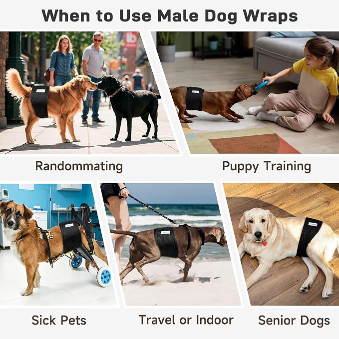 Langsprit Small Male Dog Diapers for Doggie Puppy,Reusable Belly Bands for Male Dogs Wraps,Washable Doggy Dog Diapers Medium Large in Incontinence 5 Pack (Black, Small)