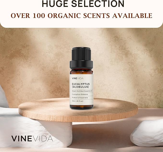 VINEVIDA Eucalyptus Essential Oil - 10 mL Undiluted - DIY Candle Scents