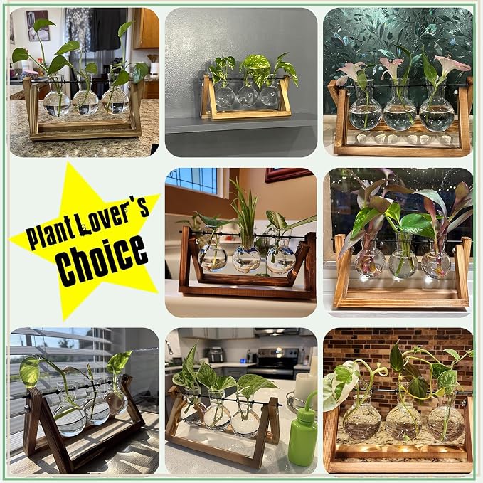 XXXFLOWER Plant Terrarium with Wooden Stand, Air Planter Bulb Glass Vase Metal Swivel Holder Retro Tabletop for Hydroponics Home Garden Office Decoration - 3 Bulb Vase | Air Planter Flower Glass Vase Retro for Hydroponics Cutting Home Garden Office Dec...