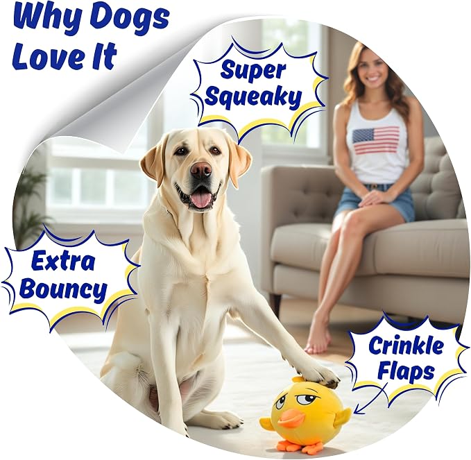 Dog Toy for Aggressive Chewers, Tough Squeaky Chew Ball, Large Breeds Gift