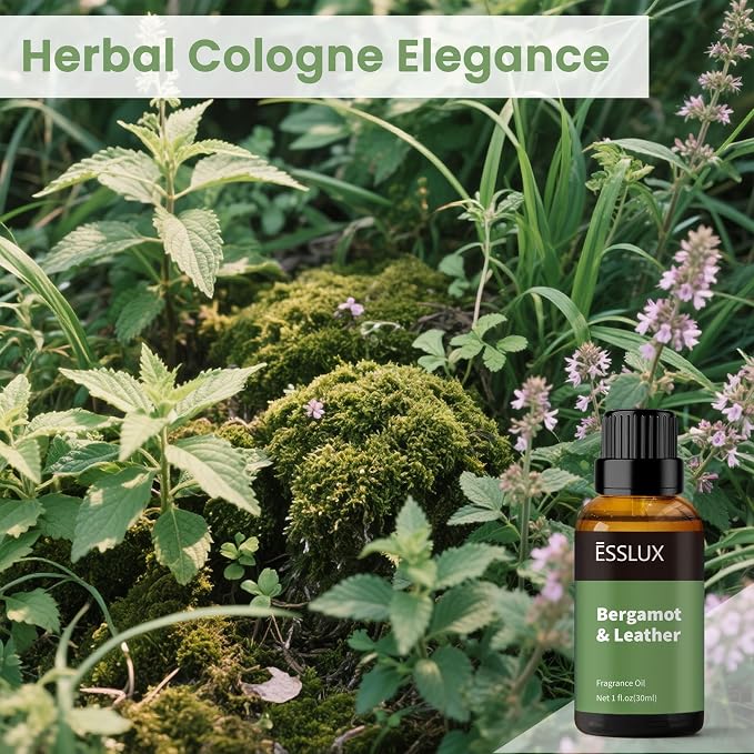 Bergamot & Leather Fragrance Oil, ESSLUX Large Single Essential Oil 30ml, Aromatherapy Candle Making Scents, Middle Eastern Scented Oils for Home for Diffuser, Massage, Soap, Perfume, Humidifier
