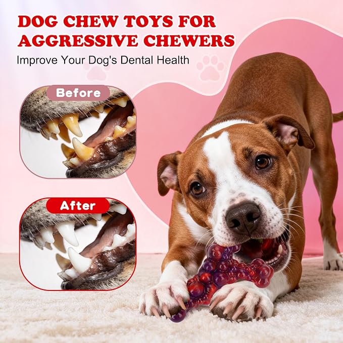 3Pack Bone Indestructible Dog Chew Nylon Toys for Aggressive Chewers