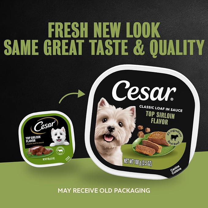 Cesar Classic Loaf in Sauce Wet Dog Food, Top Sirloin, 3.5 oz, 24 Count | Made in USA, Real beef #1 ingredient, no fillers or artificial flavors, 100% complete & balanced, easy peel trays