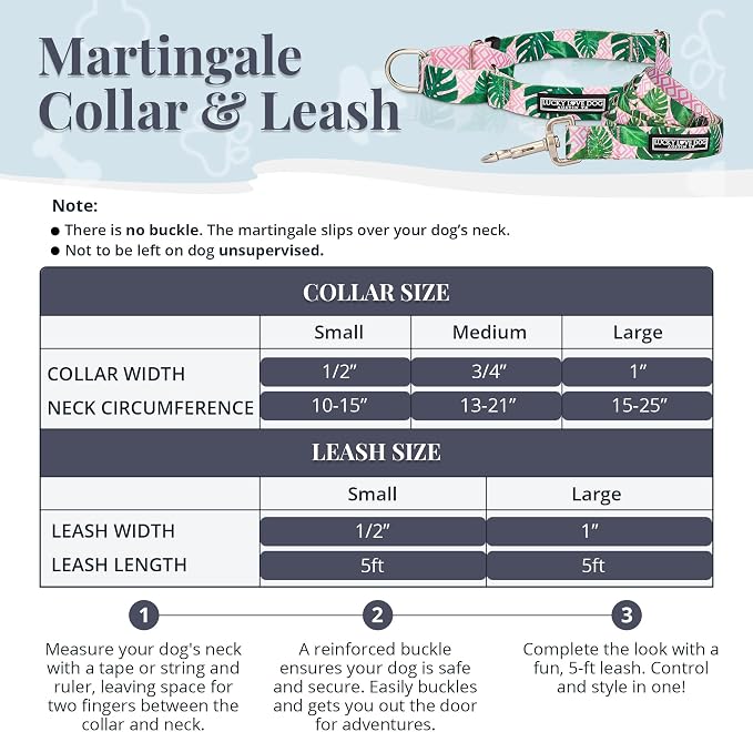 Lucky Love Dog Martingale Collar & Leash Set No Slip Cute – Laguna, Large