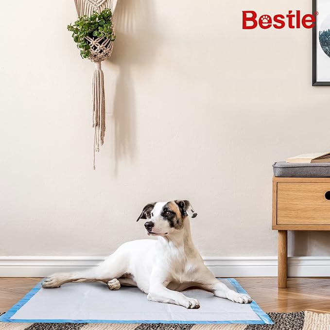 BESTLE Extra Large Pet Training and Puppy Pads Pee Pads for Dogs 28"x34" -40 Count Super Absorbent & Leak-Proof (Pack of 2)