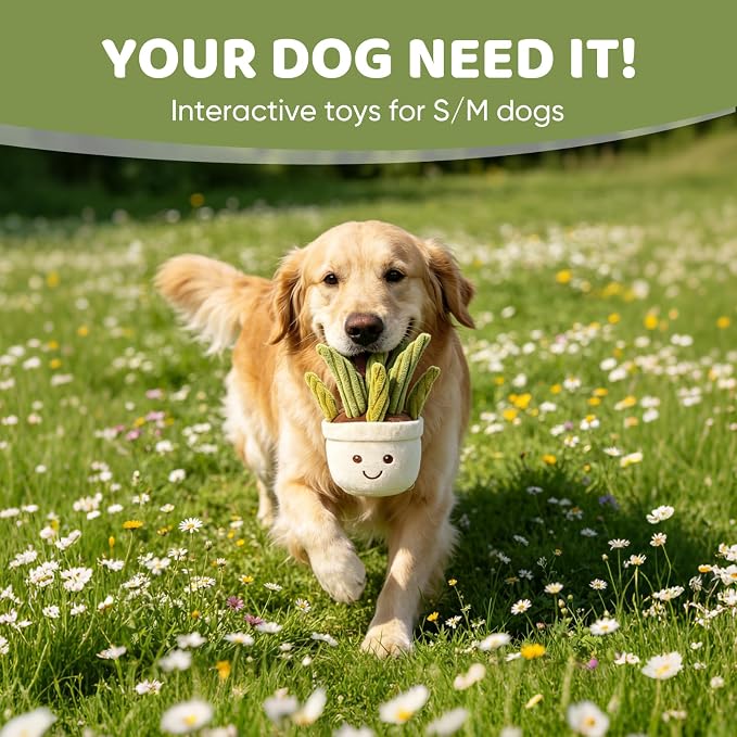 Furvana Succulent Plush Dog Toy, 2-in-1 Interactive Squeaky Chew Toy with Crinkle Layers for Medium, Large Dogs and Puppies (Leafy Aloe-Style)