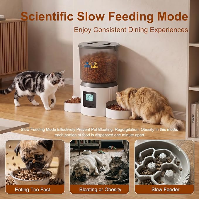 Automatic Cat Feeder for 2 Cats 4L Timed Cat Dry Food Dispenser Double Bowl Auto Pet Feeder and Small Dogs Dual Power Supply 9 Meals Programmable 1-15 Portion Per Day with Stainless Bowl Easy Clean