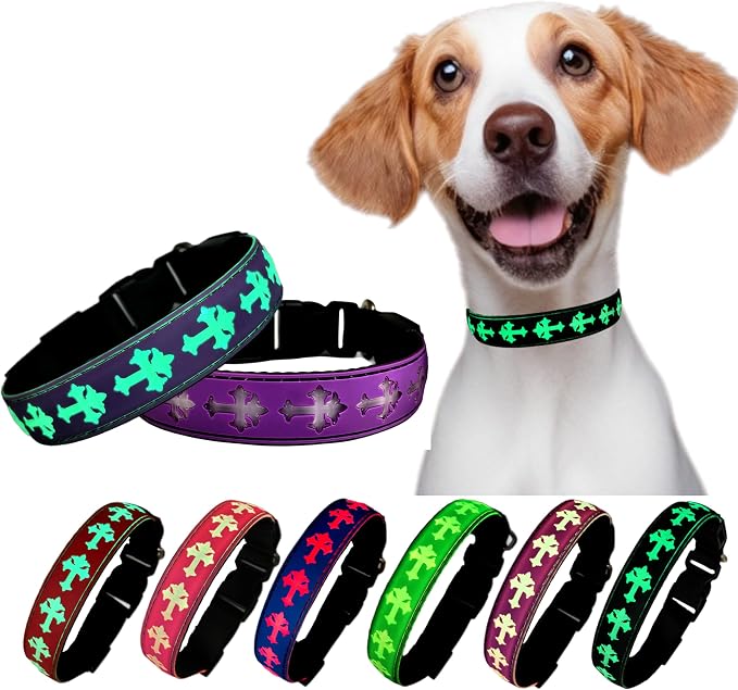 Light Up Glow Dog Collar with Chinese Style AirTag Holder,