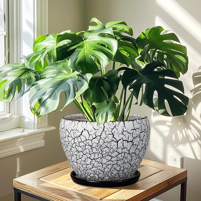 Ceramicfor Ceramic Planters for Indoor Plants - 10 Inch Plant Pot with Drainage Hole and Saucer, Large Flower Pot for Home Decor, White/Black