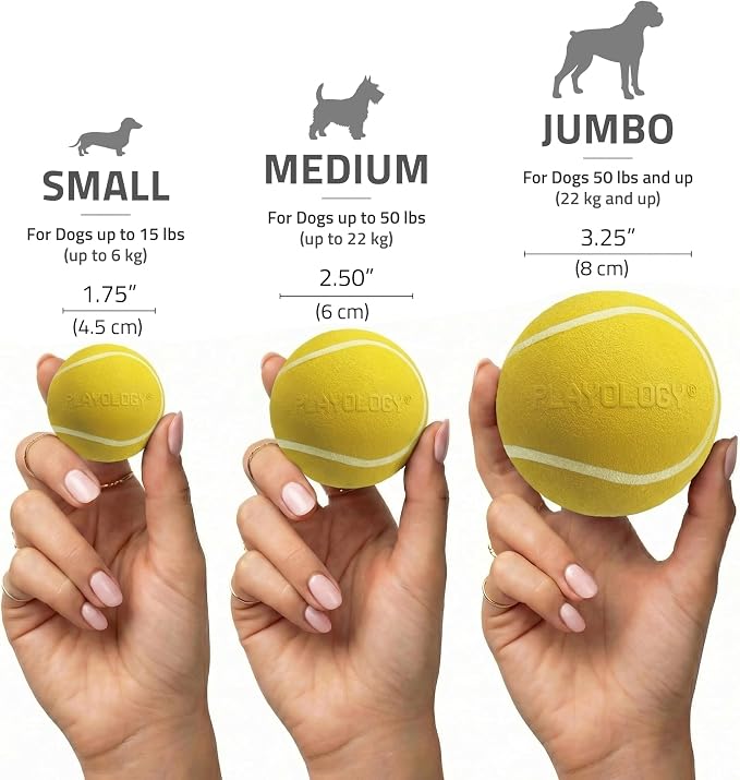 Playology Squeaky Chew Ball Dog Toy - Medium, Chicken Scent, 2-Pack