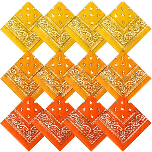 Suhine 12 Pcs Bandanas Bulk 22 x 22 Inch Paisley Headband Cowboy Handkerchief Christmas Thanksgiving Gift for Women Men
