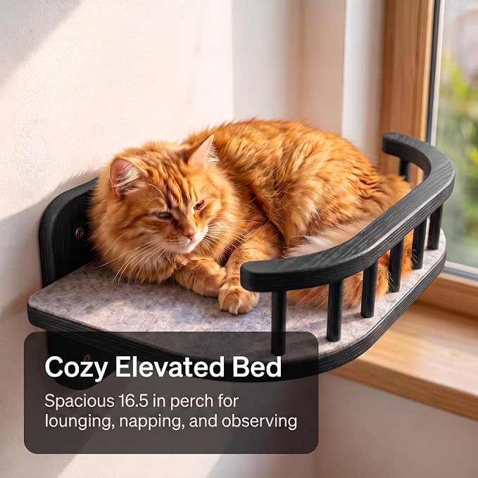 Cat Wall Shelves, Floating Bed with 3 Cat Wall Steps - Black | Pre-Drilled Anchor Kit for Easy Mount, Cozy Spot for Climbing & Play, Indoor Cats up to 18 lbs, Solid FSC Birch Wood