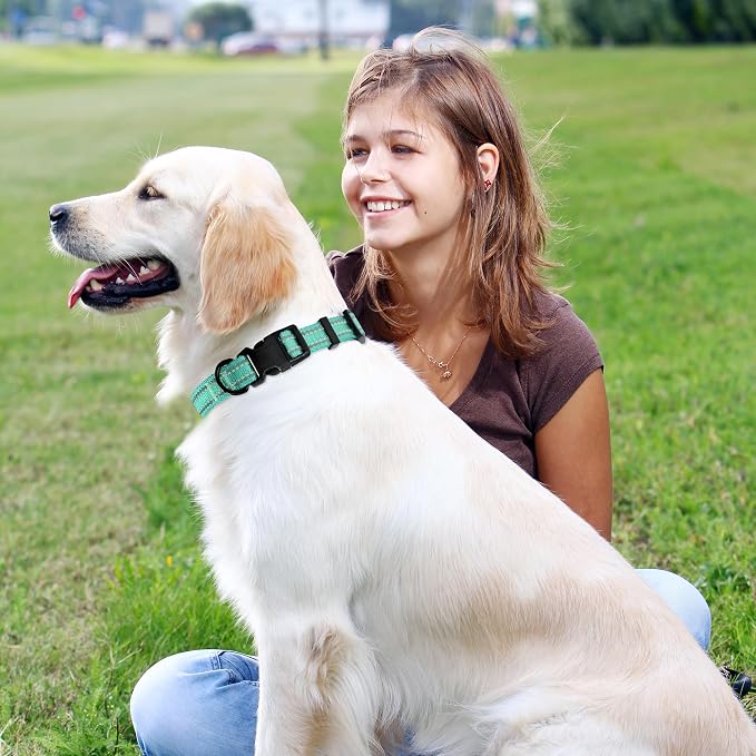 Mile High Life Reflective Dog Collar, Adjustable Lightweight Quick Release