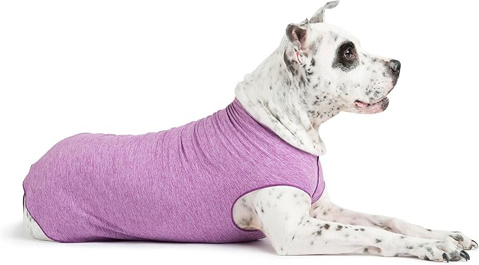 Sun Shield Dog Tee – T-Shirt for Canines – UV Protection, Pet Anxiety Relief, Wound Care – Protects Against Foxtails, Aids Alopecia - Machine Washable, All Season – Size 30 – Violet