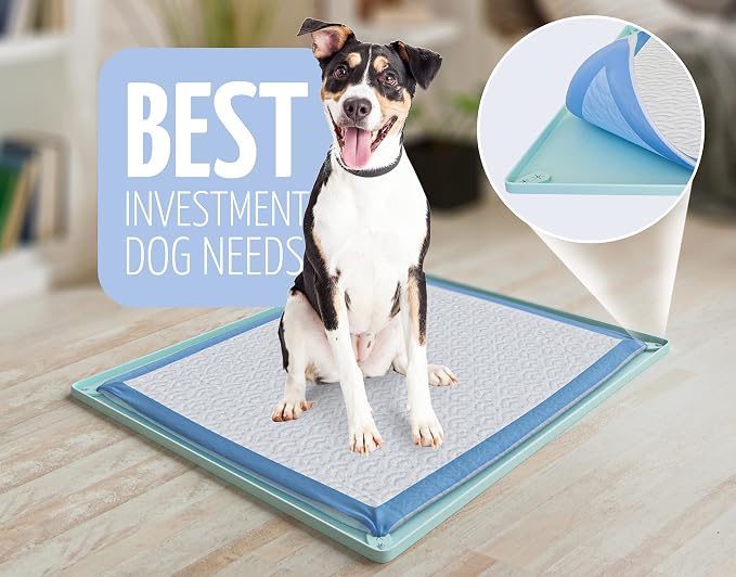 Dog Pee Pad Holder Tray Fits for 30” x 23” Pee Pads - 1 Pack - Turquoise | Corner Lock Holes, Raised Edges, Non-Spill, Easy to Clean Silicone Dog Potty Tray Holder, For Indoor Floor Protection