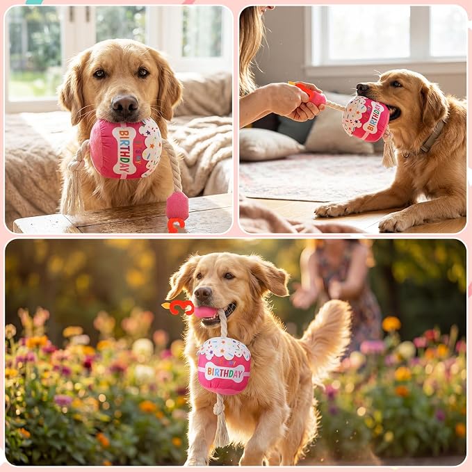 Dansydaisy Dog Birthday Cake Toy Squeaky Plush Gift,3rd,Rose Pink
