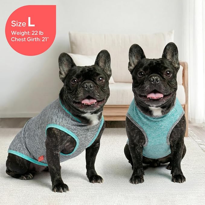KYEESE 2Pack Dog Shirt for Small Dogs Sun Protection Tank Top for Summer | Reflective for Safety, Lightweight & Breathable, Shedding Control, Skin-Friendly for Sensitive Dogs, Easy On/Off, Quick Dry
