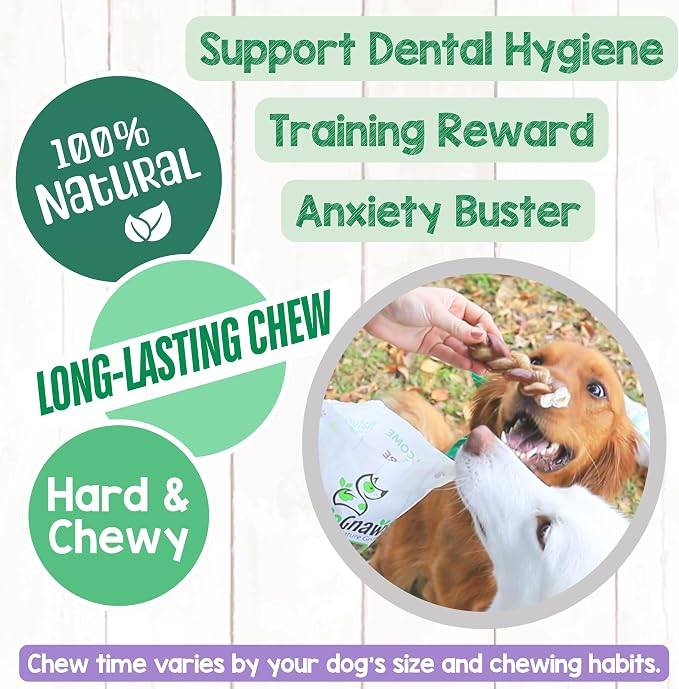 Nature Gnaws Braided Bully Sticks for Dogs 5-6" (10 Count) - Long Lasting for Small and Medium Dogs - Natural Beef Dog Chew Bones - Rawhide Free