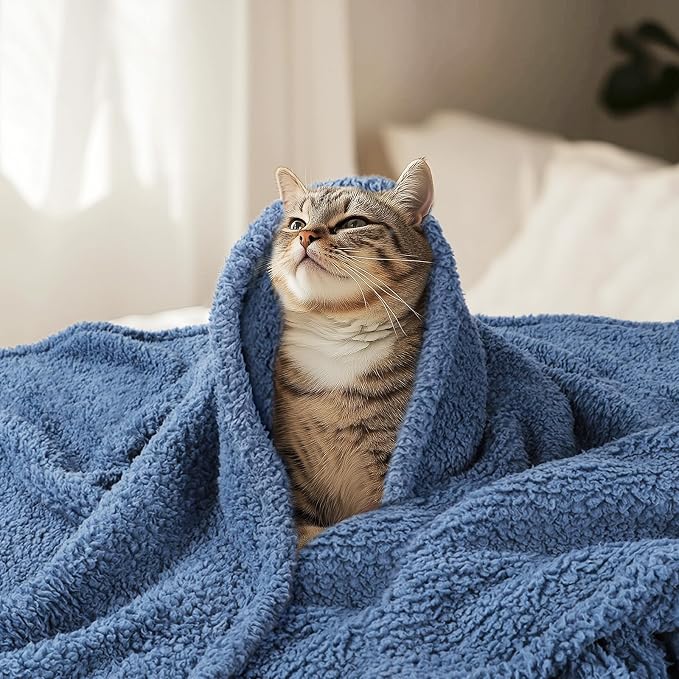 Luciphia Ultra Soft Sherpa Fleece Dog Puppy Cat Blanket for Small Pets | Calming Plush Throw for Crate, Couch, Car, Bed. Machine Washable. Puppy Essential, Cat Stuff,Haze Blue,57"x40"