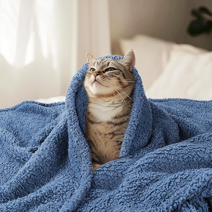Luciphia Ultra Soft Sherpa Fleece Dog Puppy Cat Blanket for Small Pets | Calming Plush Throw for Crate, Couch, Car, Bed. Machine Washable. Puppy Essential, Cat Stuff,Haze Blue,30"x20"
