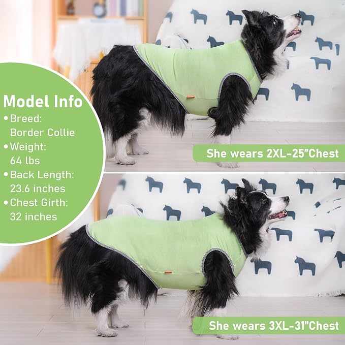 KYEESE 2Pack Dog Shirt for Medium Dogs Sun Protection Tank Top for Summer | Reflective for Safety, Lightweight & Breathable, Shedding Control, Skin-Friendly for Sensitive Dogs, Easy On/Off, Quick Dry