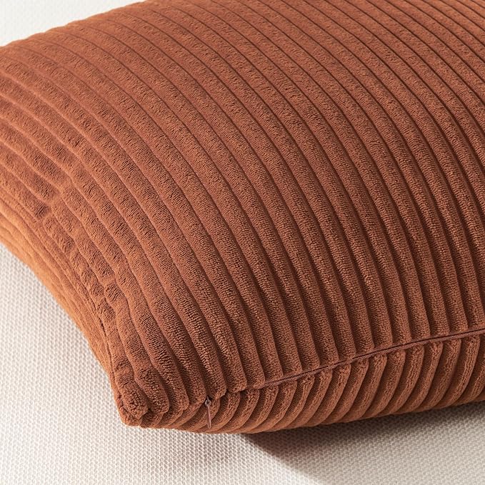 Topfinel Decorative Rust Throw Pillow Covers Cushion Cases, Set of 4 Soft Velvet Modern Double-Sided Designs Terracotta Home Decor ，Fall Style Throw Pillows 20x20 inches