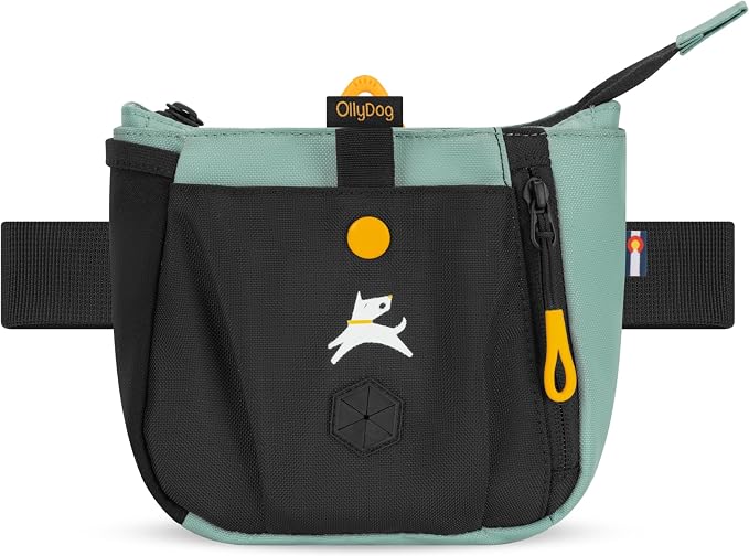 OllyDog Backcountry Day Bag | Dog Training Treat Pouch | Eco-Friendly Recycled Fabric Fanny Pack with Zipper Closure, Built-in Poop Bag Dispenser & Adjustable Waist Belt (Surf)