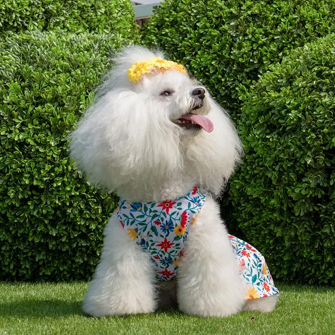CuteBone Dog Mesh Dress Puppy Sundress Pet Outfit Summer Fashion for Small Dogs Girl Cat Clothes