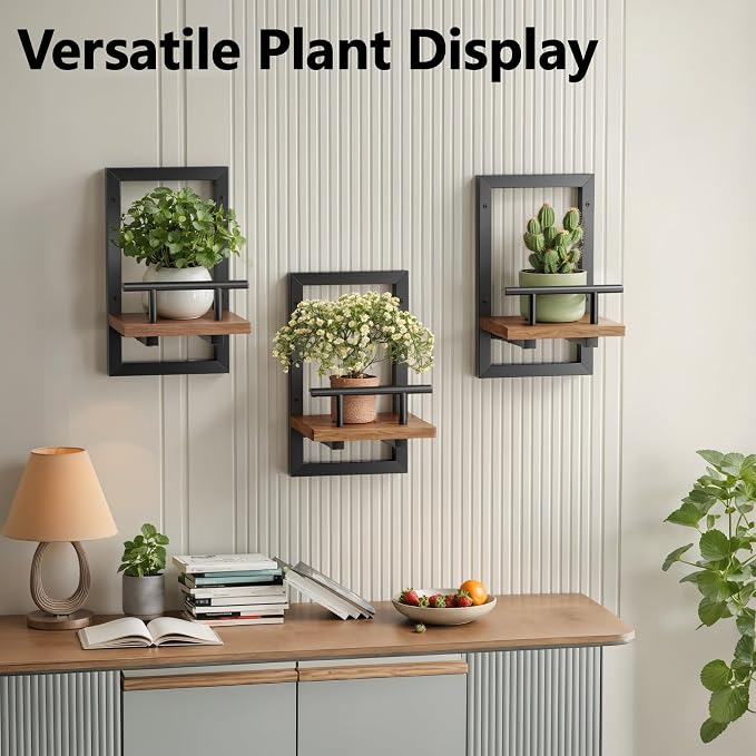 Sbosbo Floating Shelves for Wall Plant Shelf Indoor Wall Mounted Shelves | Wall Planters for Indoor Floating Plant Shelves for Bedroom, Living Room, Kitchen, Office, Bathroom Decor (3 Pack)