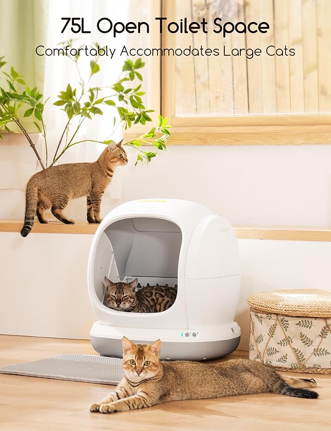 Meowant Self-Cleaning Cat Litter Box, 75L Extra Large Open for Multi Cats | Integrated Safety Protection Anti-Pinch Automatic Cat Litter Box,APP Control,Odor Removal,Health Monitoring,Low Entry,Gray