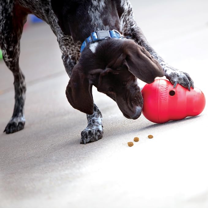 KONG Wobbler, Interactive Treat-Dispensing Dog Toy, for Medium/Small Dogs | Interactive Treat-Dispensing Toy & Slow Feeder That Supports Healthy Eating & Keeps Dogs Mentally Busy