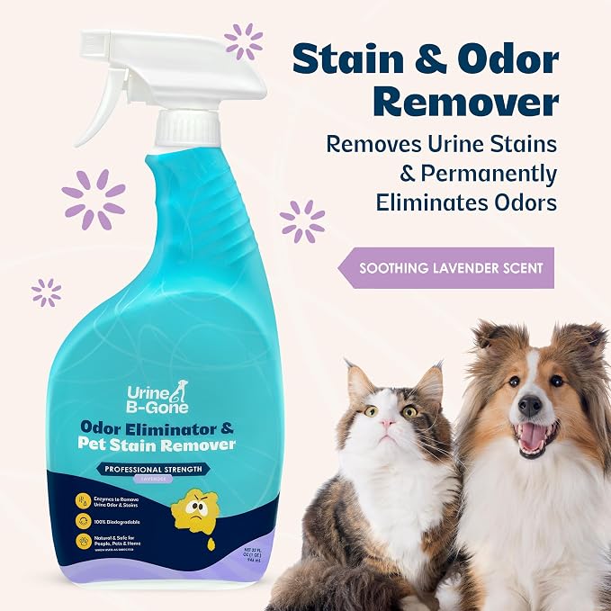 Urine B-Gone Enzyme Cleaner for Human, Cat & Dog Urine, Lavender, 32 oz | Enzyme cleaner for human, cat and dog urine on laundry, carpets and more; lavender scent, 32 oz.