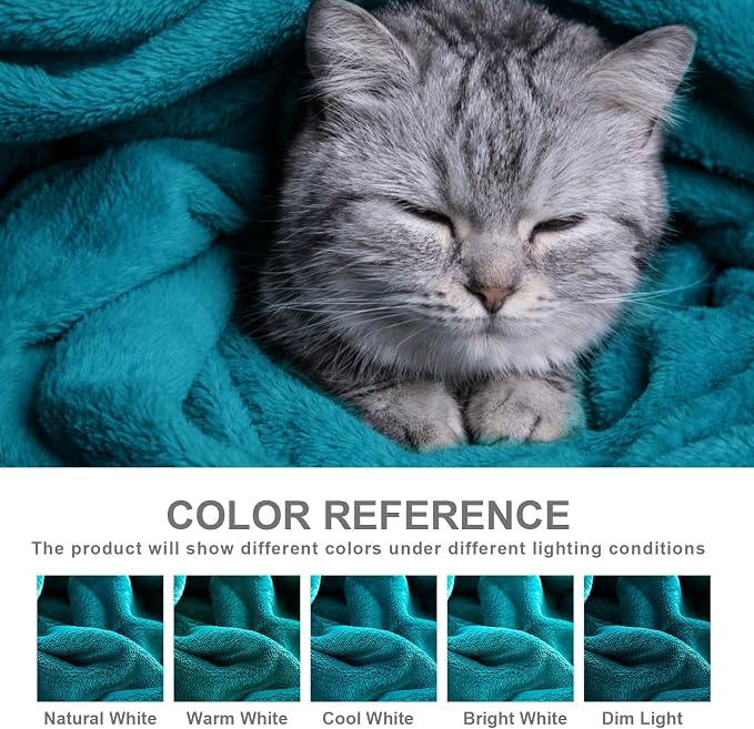 Hansleep Queen Teal Fleece Blanket, Soft Flannel Bed Blanket | Fuzzy Cozy Blanket 90x90 Inches, Multi-use for Bed, Sofa, Couch, Travel, Camping, All Season Warm Lightweight Cover