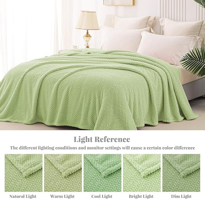 Whale Flotilla Extra Large Soft Fleece Throw Blanket for Couch | 50x70 Inch, Light Gree, Suitable for Sofa Chair Bed, Fluffy Fuzzy Jacquard Blankets for All Season, Lightweight and Cozy