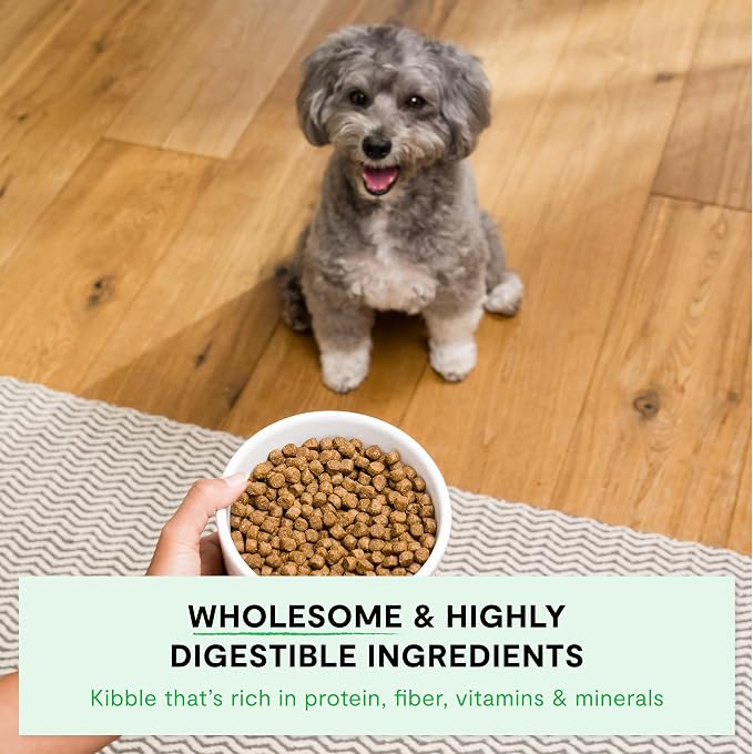 Open Farm Ancient Grains Dry Dog Food, Small Breed Kibble, 11lb Bag | All Life Stages, Small Breed Sizes, Protein-Rich & Nutrient Dense, 100% Traceable Ingredients, Non-GMO Fruits & Veggies.