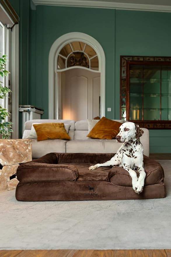 NOAH & PAW XL Dog Bed, 45x35x11 Inch, Orthopedic Large Dog Beds, Eggshell Memory Foam Infused with Cooling Gel, Inner Cover, Water Resistant, Machine Washable (Velvet Sofa Collection)